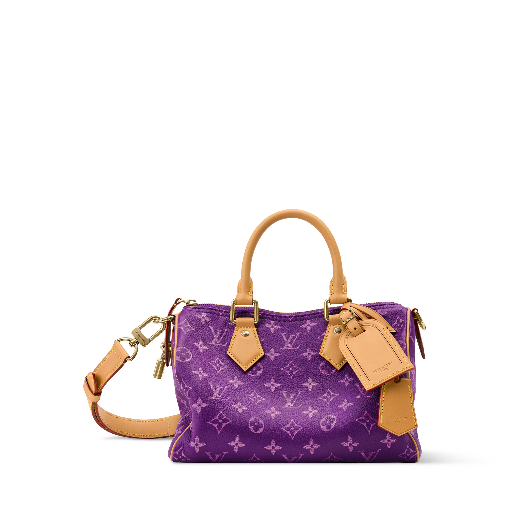 Speedy P9 Bandoulière 25 H40 - Leather Goods and Travel | Louis